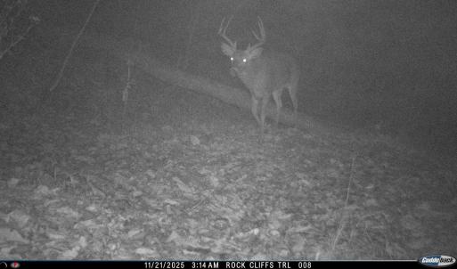 Photo #55 of Lot 1 HOPKINS GAP RD, FULKS RUN, VA 81.9 acres