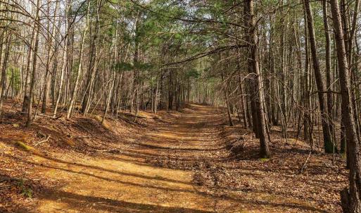 Photo #71 of Lot 1 HOPKINS GAP RD, FULKS RUN, VA 81.9 acres