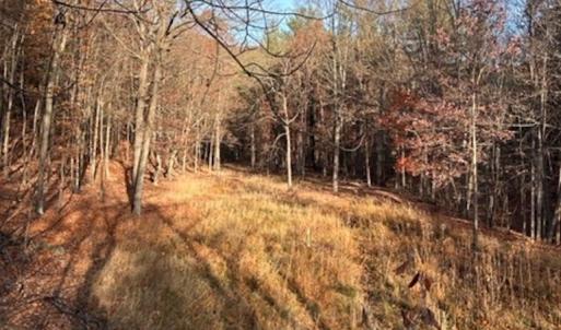 Photo #69 of Lot 1 HOPKINS GAP RD, FULKS RUN, VA 81.9 acres