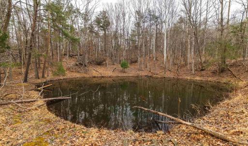 Photo #45 of Lot 1 HOPKINS GAP RD, FULKS RUN, VA 81.9 acres