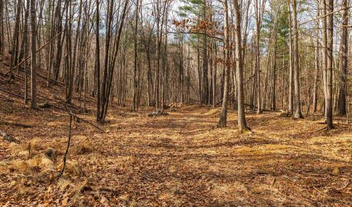 Photo #73 of Lot 1 HOPKINS GAP RD, FULKS RUN, VA 81.9 acres