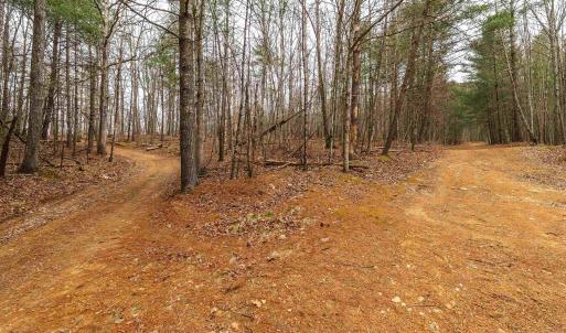 Photo #39 of Lot 1 HOPKINS GAP RD, FULKS RUN, VA 81.9 acres