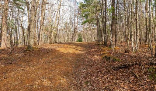 Photo #70 of Lot 1 HOPKINS GAP RD, FULKS RUN, VA 81.9 acres