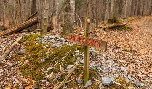 Photo #37 of Lot 1 HOPKINS GAP RD, FULKS RUN, VA 81.9 acres