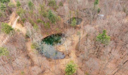 Photo #48 of Lot 1 HOPKINS GAP RD, FULKS RUN, VA 81.9 acres