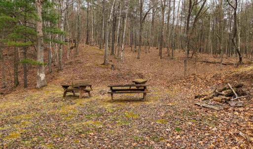 Photo #47 of Lot 1 HOPKINS GAP RD, FULKS RUN, VA 81.9 acres