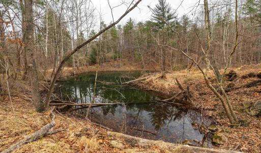 Photo #43 of Lot 1 HOPKINS GAP RD, FULKS RUN, VA 81.9 acres
