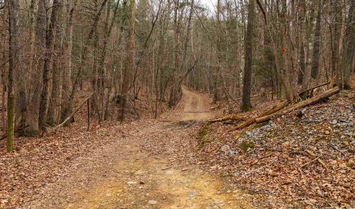 Photo #38 of Lot 1 HOPKINS GAP RD, FULKS RUN, VA 81.9 acres