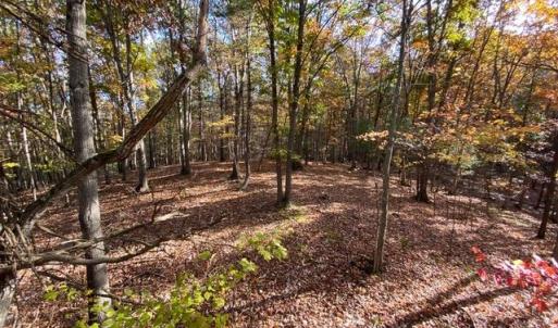 Photo #66 of Lot 1 HOPKINS GAP RD, FULKS RUN, VA 81.9 acres