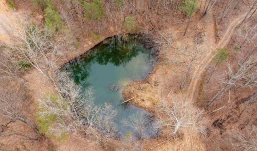 Photo #50 of Lot 1 HOPKINS GAP RD, FULKS RUN, VA 81.9 acres