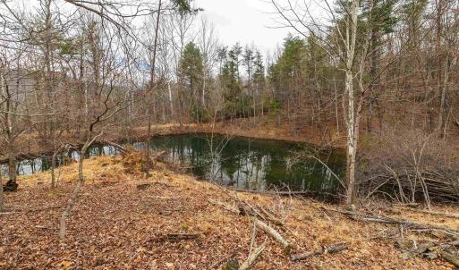 Photo #44 of Lot 1 HOPKINS GAP RD, FULKS RUN, VA 81.9 acres