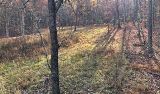 Photo #65 of Lot 1 HOPKINS GAP RD, FULKS RUN, VA 81.9 acres