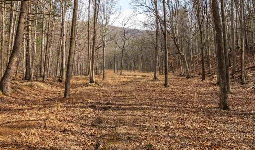 Photo #47 of 81.5 Acres HOPKINS GAP RD, FULKS RUN, VA 81.5 acres