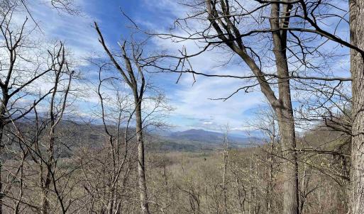 Photo #3 of 81.5 Acres HOPKINS GAP RD, FULKS RUN, VA 81.5 acres