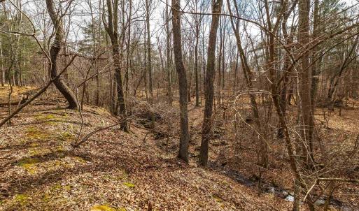 Photo #42 of 81.5 Acres HOPKINS GAP RD, FULKS RUN, VA 81.5 acres