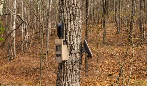 Photo #15 of 81.5 Acres HOPKINS GAP RD, FULKS RUN, VA 81.5 acres