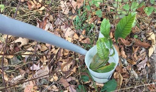 Photo #35 of 81.5 Acres HOPKINS GAP RD, FULKS RUN, VA 81.5 acres