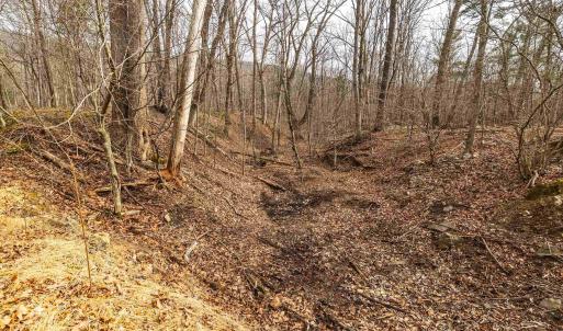 Photo #43 of 81.5 Acres HOPKINS GAP RD, FULKS RUN, VA 81.5 acres
