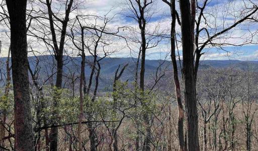 Photo #2 of 81.5 Acres HOPKINS GAP RD, FULKS RUN, VA 81.5 acres