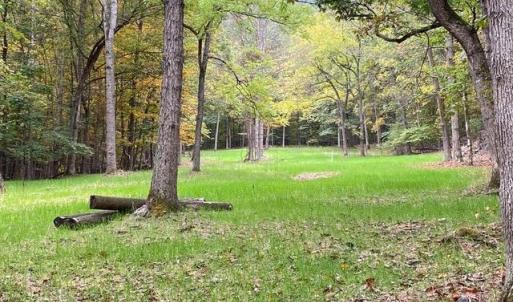 Photo #1 of 81.5 Acres HOPKINS GAP RD, FULKS RUN, VA 81.5 acres