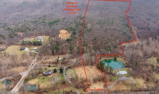 Photo #4 of 81.5 Acres HOPKINS GAP RD, FULKS RUN, VA 81.5 acres