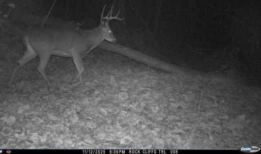 Photo #18 of 81.5 Acres HOPKINS GAP RD, FULKS RUN, VA 81.5 acres