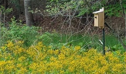 Photo #36 of 81.5 Acres HOPKINS GAP RD, FULKS RUN, VA 81.5 acres