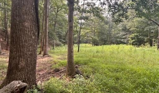 Photo #49 of 81.5 Acres HOPKINS GAP RD, FULKS RUN, VA 81.5 acres