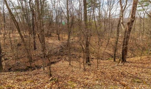 Photo #41 of 81.5 Acres HOPKINS GAP RD, FULKS RUN, VA 81.5 acres