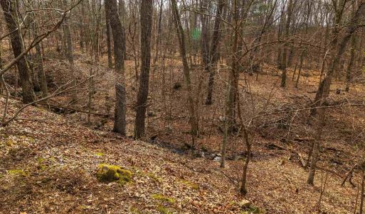Photo #16 of 81.5 Acres HOPKINS GAP RD, FULKS RUN, VA 81.5 acres