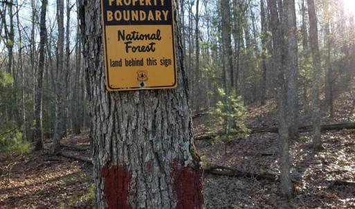 Photo #7 of 81.5 Acres HOPKINS GAP RD, FULKS RUN, VA 81.5 acres
