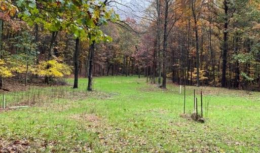 Photo #33 of 81.5 Acres HOPKINS GAP RD, FULKS RUN, VA 81.5 acres