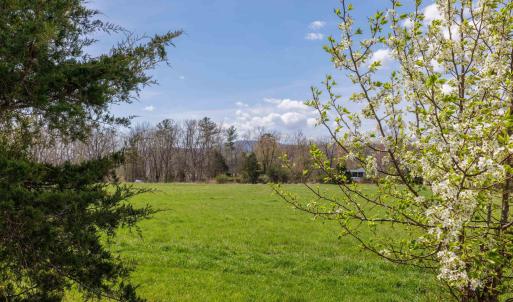 Photo #29 of 14506 TRAVIS LN, FULKS RUN, VA 1.0 acres