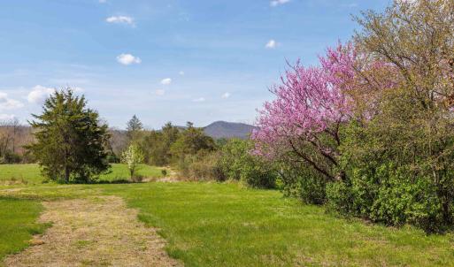 Photo #14 of 14506 TRAVIS LN, FULKS RUN, VA 1.0 acres