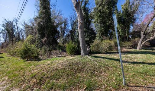 Photo #16 of Lot 1 PRESTON AVE, CHARLOTTESVILLE, VA 0.7 acres