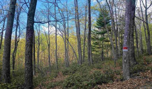 Photo #3 of ROCKFISH HEIGHTS LN, NELLYSFORD, VA 4.7 acres