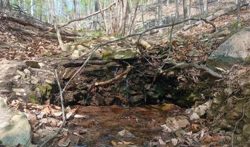 Photo #14 of ROCKFISH HEIGHTS LN, NELLYSFORD, VA 4.7 acres