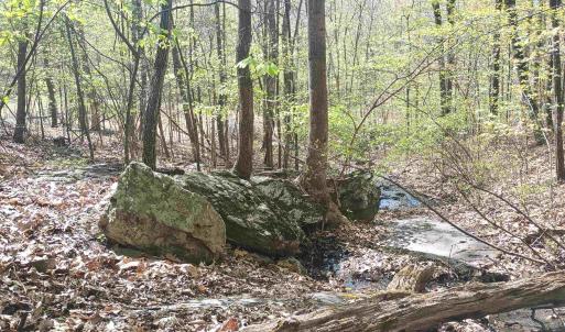 Photo #21 of ROCKFISH HEIGHTS LN, NELLYSFORD, VA 4.7 acres