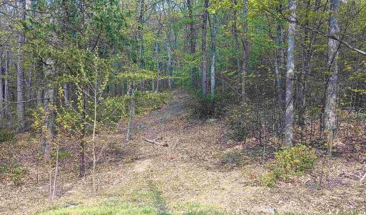 Photo #2 of ROCKFISH HEIGHTS LN, NELLYSFORD, VA 4.7 acres