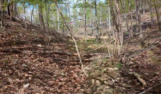 Photo #15 of ROCKFISH HEIGHTS LN, NELLYSFORD, VA 4.7 acres