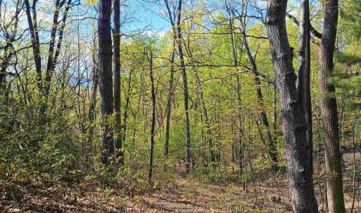 Photo #8 of ROCKFISH HEIGHTS LN, NELLYSFORD, VA 4.7 acres