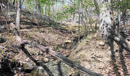 Photo #13 of ROCKFISH HEIGHTS LN, NELLYSFORD, VA 4.7 acres