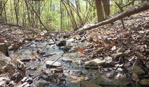 Photo #17 of ROCKFISH HEIGHTS LN, NELLYSFORD, VA 4.7 acres