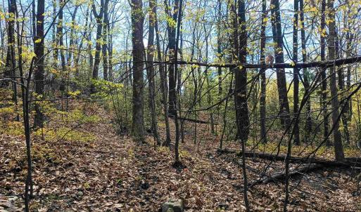 Photo #11 of ROCKFISH HEIGHTS LN, NELLYSFORD, VA 4.7 acres