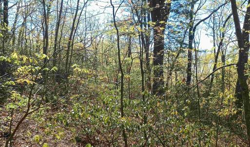 Photo #12 of ROCKFISH HEIGHTS LN, NELLYSFORD, VA 4.7 acres