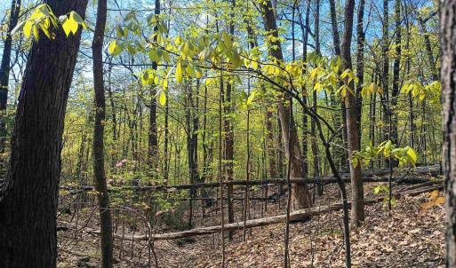 Photo #10 of ROCKFISH HEIGHTS LN, NELLYSFORD, VA 4.7 acres