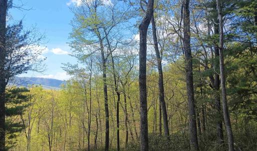 Photo #4 of ROCKFISH HEIGHTS LN, NELLYSFORD, VA 4.7 acres