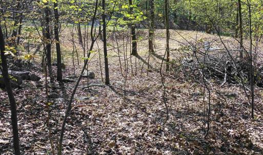 Photo #24 of ROCKFISH HEIGHTS LN, NELLYSFORD, VA 4.7 acres