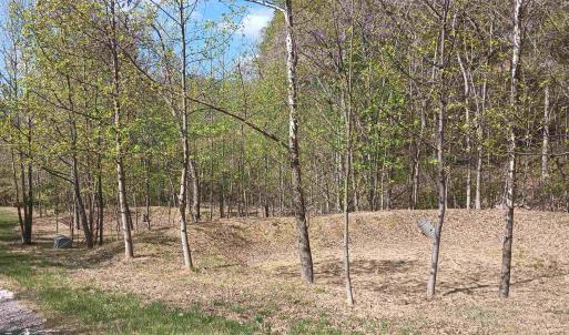 Photo #31 of ROCKFISH HEIGHTS LN, NELLYSFORD, VA 4.7 acres