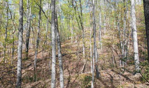 Photo #7 of ROCKFISH HEIGHTS LN, NELLYSFORD, VA 4.7 acres